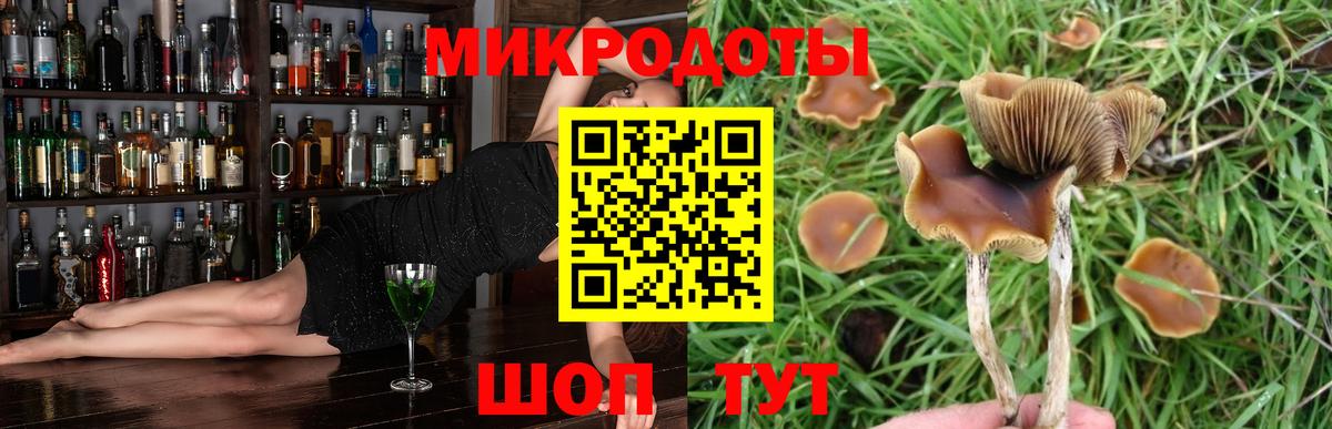 Галлюциногенные грибы Psilocybe Кубинка